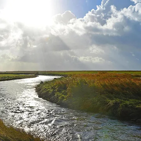 펜션 Home, 웨베눔