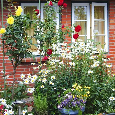 Home, 度假居 Oevenum