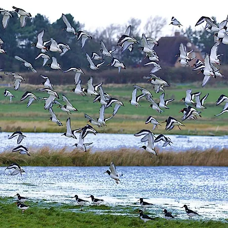 Home, 펜션 웨베눔