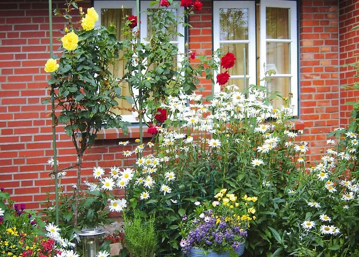 Home, Vakantiehuis Oevenum